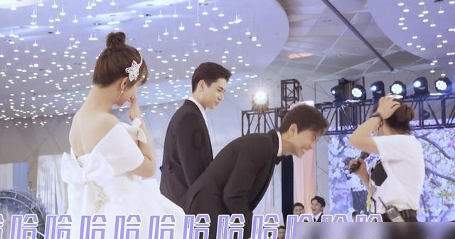 cαme翻译成中文?,解开疑问